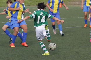 星空体育在线登陆-上海申花再遭柔佛新山逆转，1-3失利痛失连胜机会